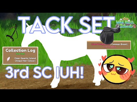 I CAUGHT another *IUH*!!| making a tack set in WILD HORSE ISLANDS #wildhorseislands  #roblox