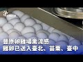 豐原卵雞場禽流感疫情
