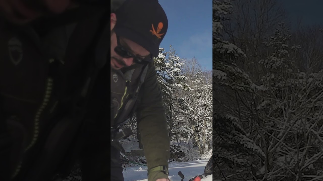 Automatic Hook Setter