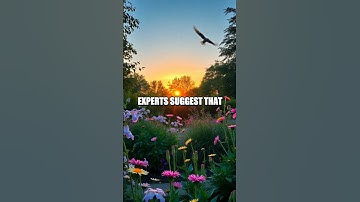 The Power of Intention: Setting Meaningful Goals for Mental Wellness