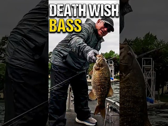 Death Wish Bass