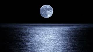 full moon night wind sound soft wind natural sound for healing screenshot 5
