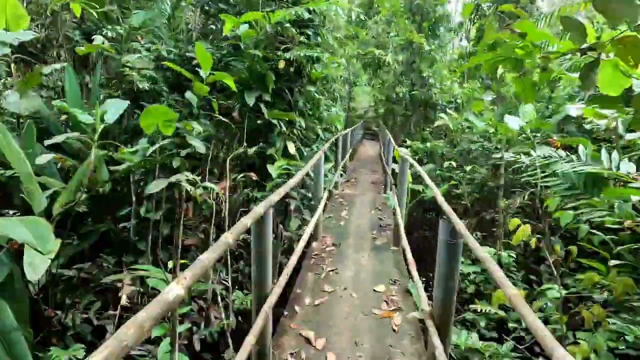 Heliconia Amazon River Lodge