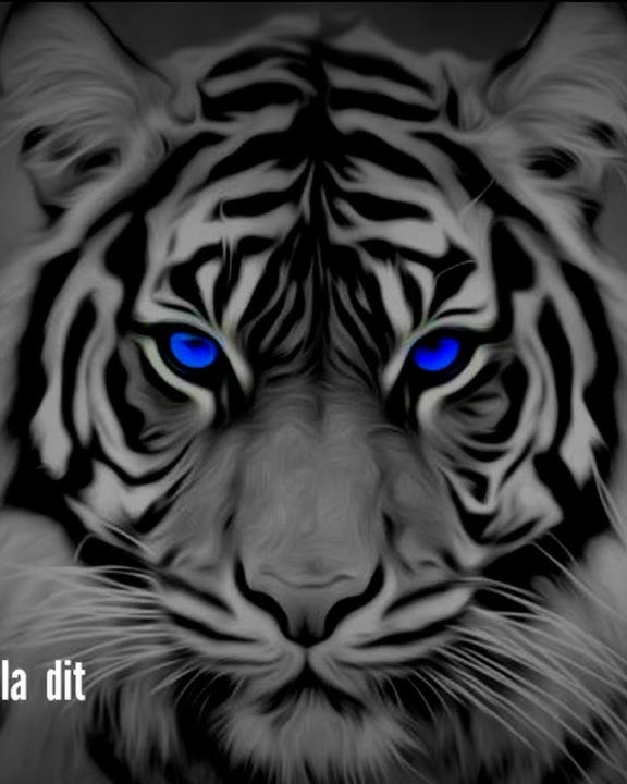 kata-kata harimau