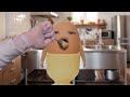 【ASMR】Feed Them Apple