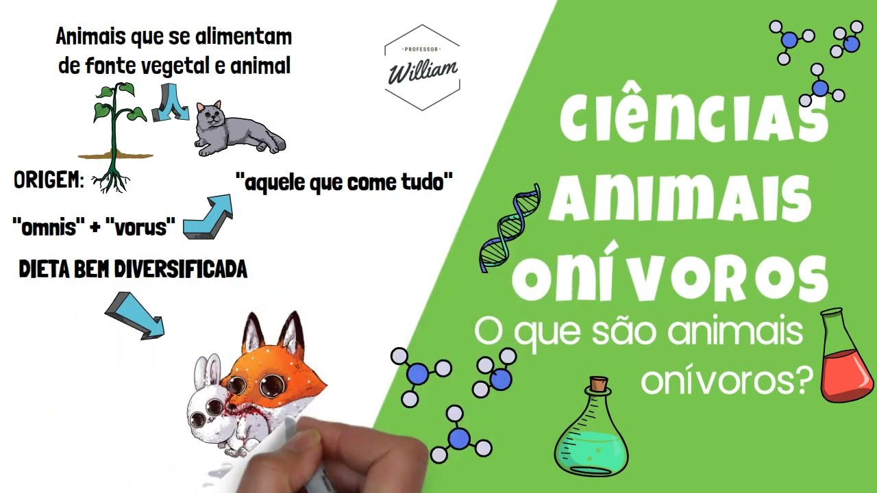 Grafico De Animais Onivoros Animais Onívoros: Características E