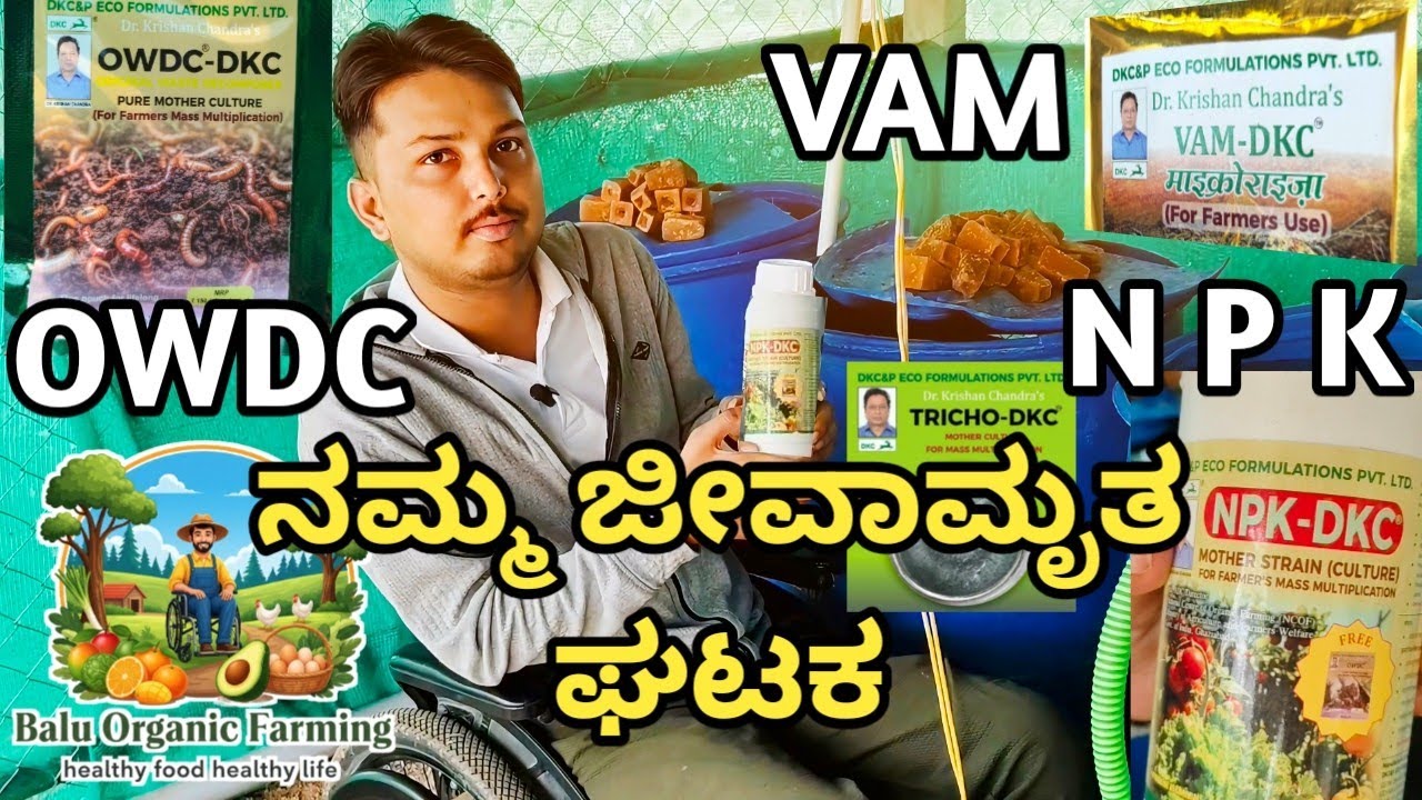 ನಮ್ಮ ಜೀವಾಮೃತ ಘಟಕ | #owdc ದ್ರವ ರೂಪದ ಜೈವಿಕ ಗೊಬ್ಬರ | Liquid bio fertilizes | #organicfertilizer