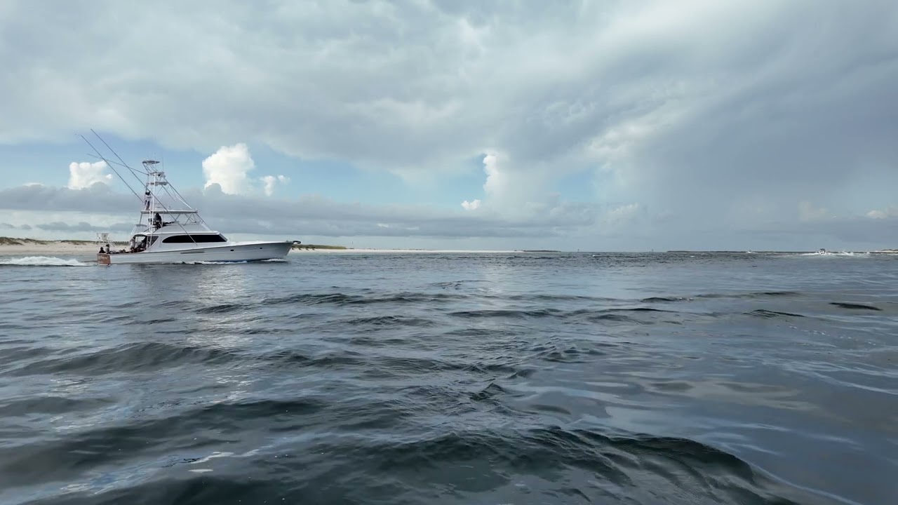 Perdido Pass | Search The Gulf |  Orange beach, Alabama | Meredith Amon  