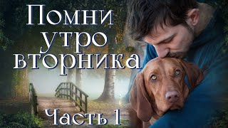 ❤Впервые на YouTube.\