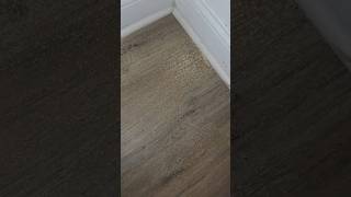 I Went for a 4-Point Inspection… Found a Termite Problem Instead #tribeinspections #termites #4point