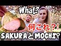 フランスの桜の名所で桜餅を無料で配ってみたら?!【海外の反応】