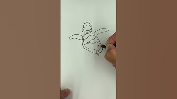 Turtle one line art tutorial #shorts #viral #fyp