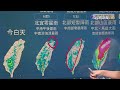 【0805台視午間氣象】「鯨魚」今晨生成 白海豚最快週五發海警