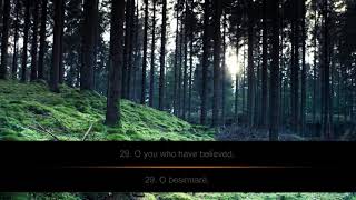 Muayyid al-Mazen - Recitim i butë - Most Emotional & Soft Quran Recitation