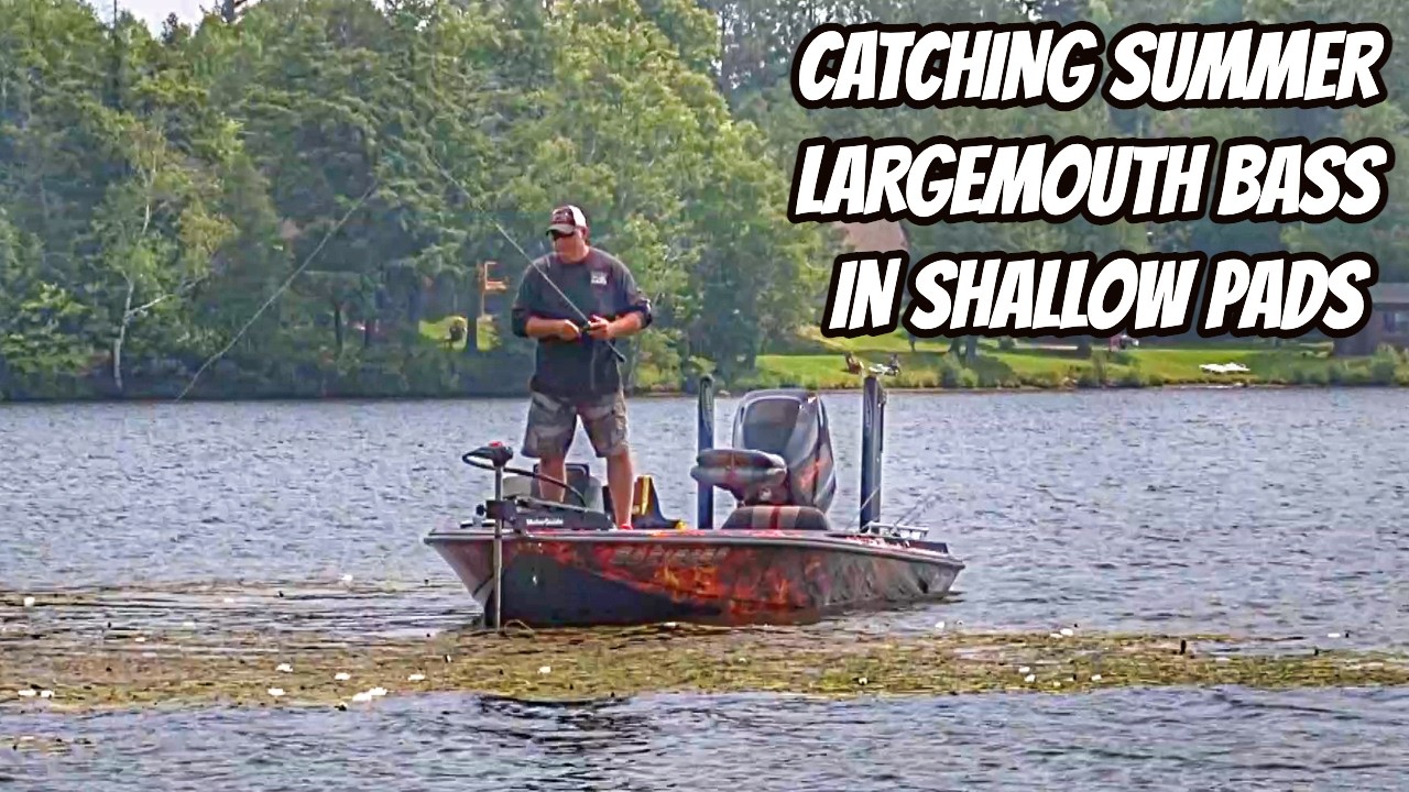 CATCHING BIG SUMMER LARGEMOUTH IN SHALLOW PADS