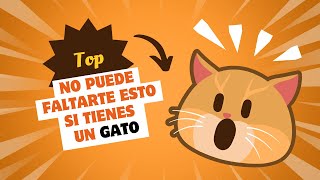 PORQUE necesitas ESTO si tienes un GATO? ✨