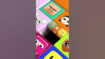 Jump Bounce Loop #roblox