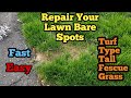 How To Repair Bare Spots In Lawn