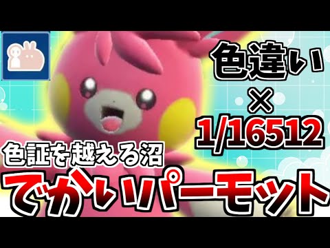 1/16512】激レア個体の「最大サイズ×色違いパーモット」を厳選