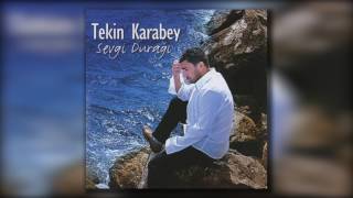 Tekin Karabey - Dar Hayat Resimi