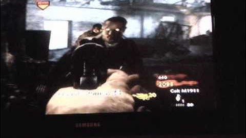 COD 5 Zombie Mod