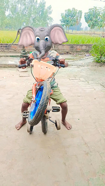 moma mara bhapom bhapom gadi laya 🐘🐘🚲🚲🤓🤓 #funny #trending
