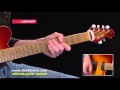 Van Halen You Really Got Me Guitar Peformance | Licklibrary Guitar Lessons