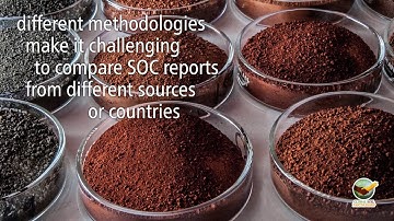 The Global Soil Organic Carbon Map V1.0