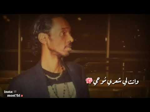 الحوت محمود عبد العزيز