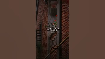 إِنَّكَ مَيِّتٌ وَإِنَّهُم مَيِّتونَ #قرآن #ماهر_المعيقلي  سورة_الزمر