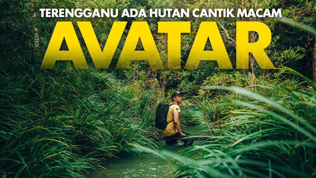 Terengganu Ada Hutan Cantik Giler Macam Filem Avatar! - Ulu Kekabu