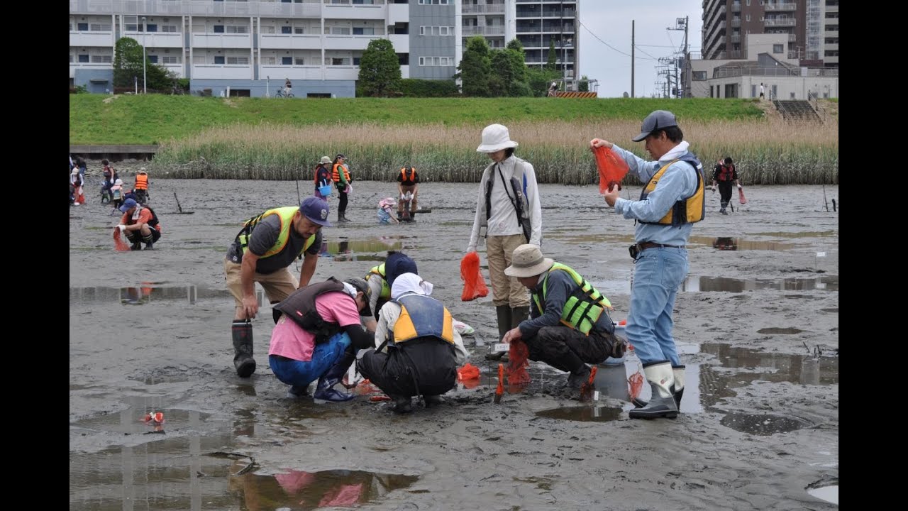 干潟にはどんな生き物がいるのかな 調べてみよう スコップ１００ってなあに 海辺つくり研究会増田龍哉さんにｲﾝﾀﾋﾞｭｰ 生物多様性豊かな干潟 多摩川河口 干潟かわさきfm To The Nature Youtube