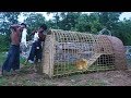 Build Rabbit House Using Bamboo & Mud