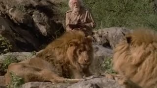 Прогулка со львами -To Walk With Lions