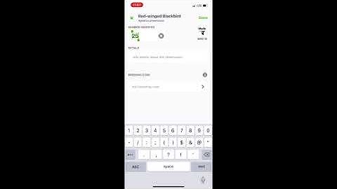 eBird Faster! Quick tricks to improve your eBird counting
