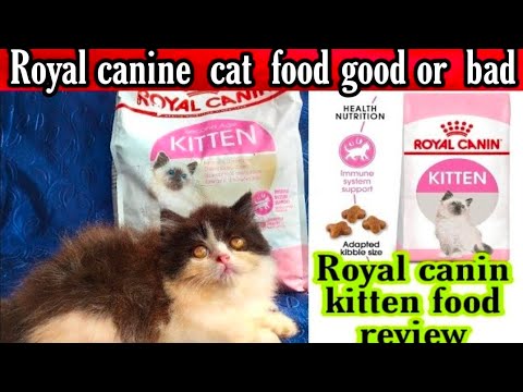 Royal canine cat food review ||Royal canine second age cat food / food for Persian cats