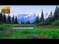 Paisajes hermosos de la naturaleza reales con música relajante | Calidad Full HD 1080p #paisajes