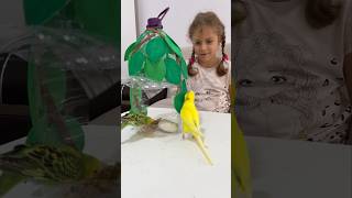 Kuşlar Için Yemlik Yaptık