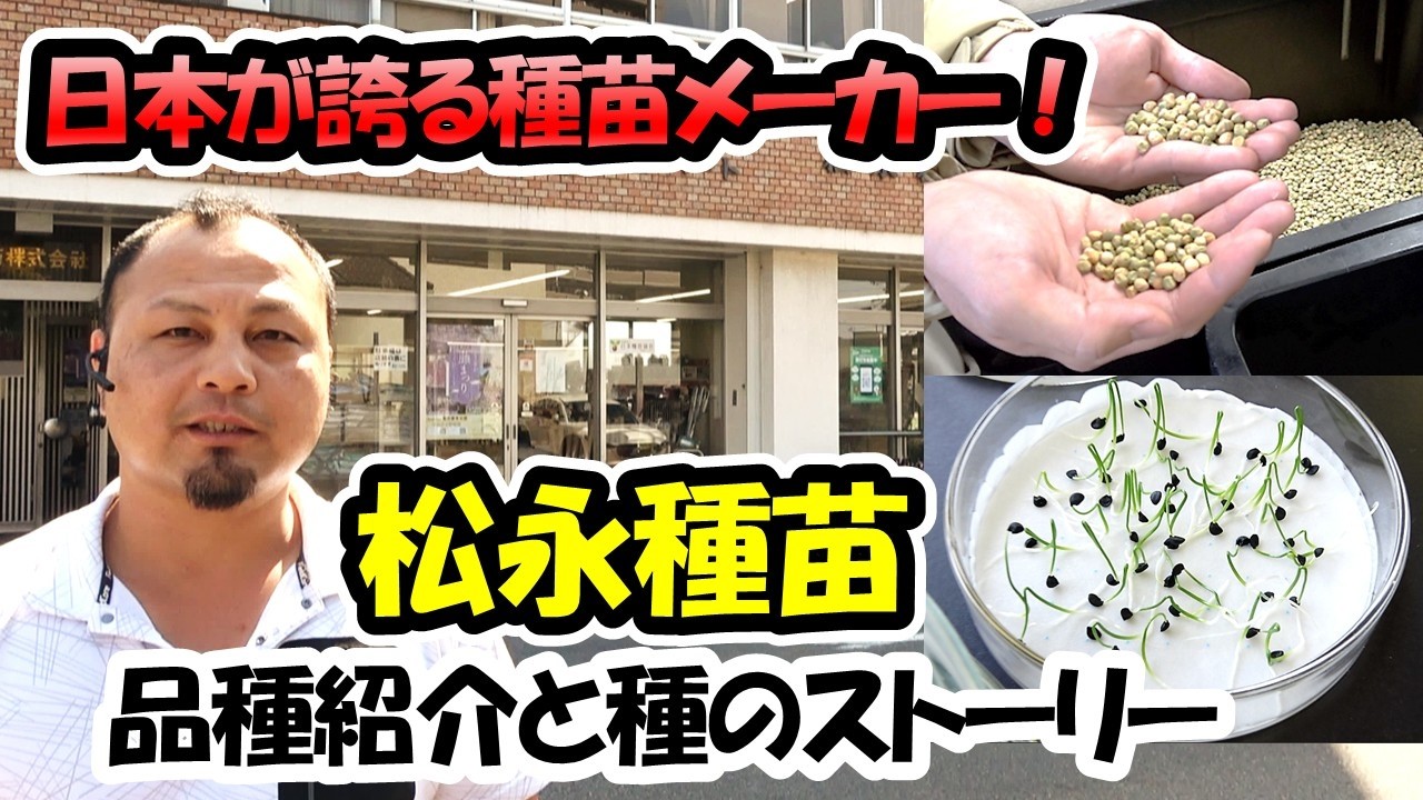 【種苗のウラ側】松永種苗｜紅くるり、まゆか、白姫・・・｜愛知県江南市の種苗メーカー