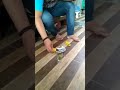 Eksperimen rokok herball sin Produksi PT TRIDAYA SINERGI INDONESIA