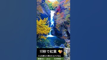10秒で紅葉【画像加工（Java）】