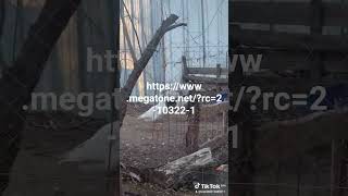 https://www.megatone.net/rc=2-10322-1