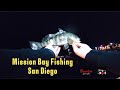 Mission Bay Fishing! Spotted Bay Bass on Hookup Baits & Basstrix | San Diego Saltwater Action