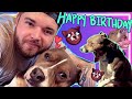 One YEAR with Chester! A very special gotcha day video with Chester!