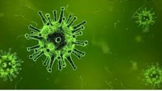 فيروس كورونا هل سيشهد العالم موجة أخرى من كوفيد-19؟