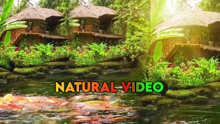 Beautiful Place 💚🌱 | Natural video | Instagram natural reels | Scenery video | visueltreat #short