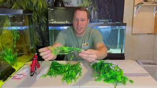 EASY Turtle Proof Decoration - Artificial Plants Your Turtle Can't Live Without