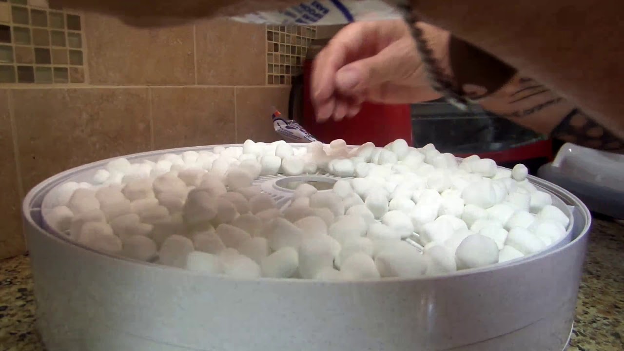 LETS DEHYDRATE MARSHMALLOWS