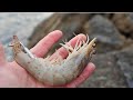 極寒の磯でエビを使って超大物を狙った結果