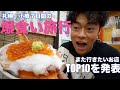 【大会のご褒美】北海道・札幌小樽で絶品グルメ旅！また行きたいお店TOP 10！！